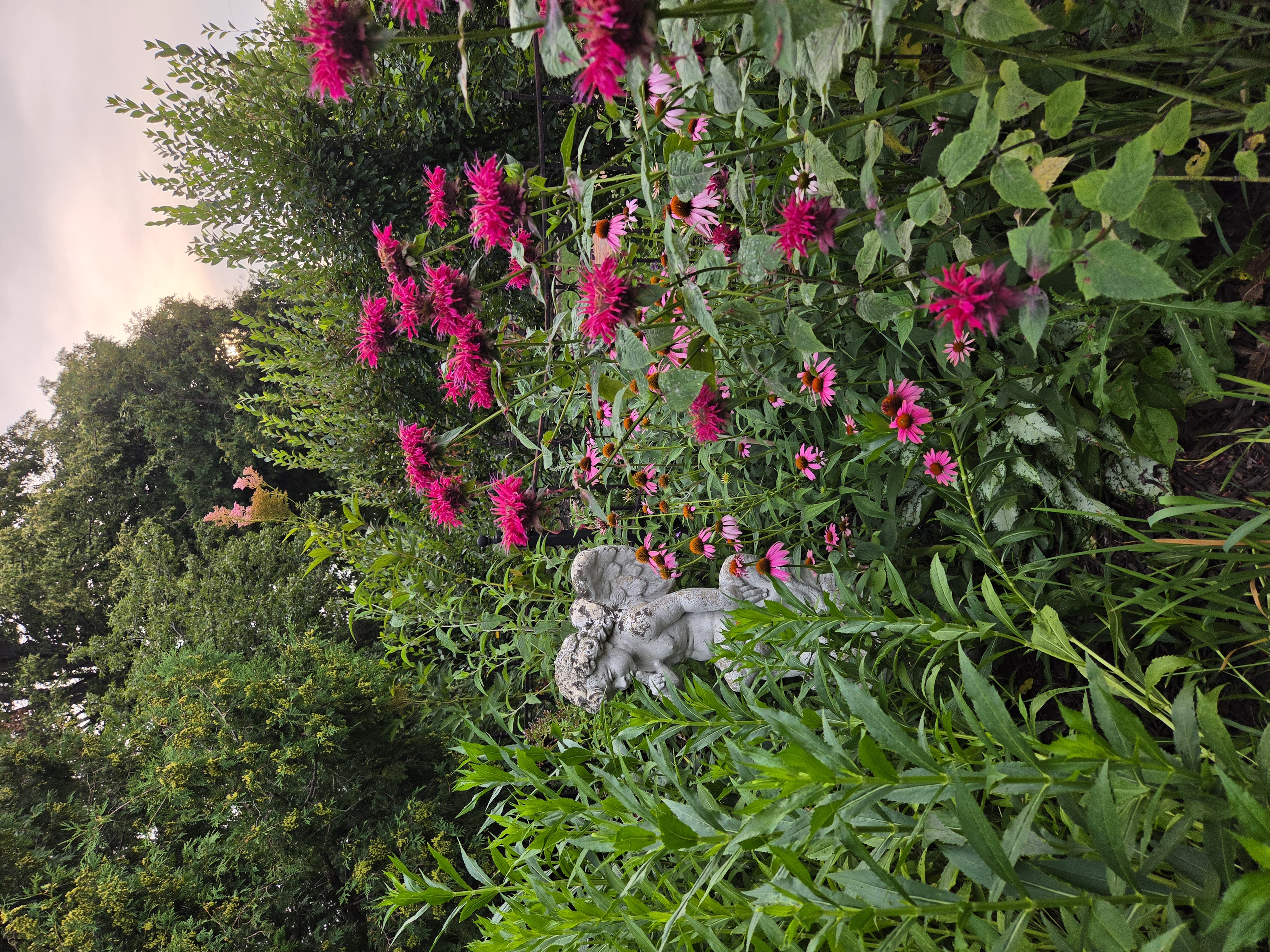 Pollinator bed with bee balm, coneflowers, and a garden cherub
