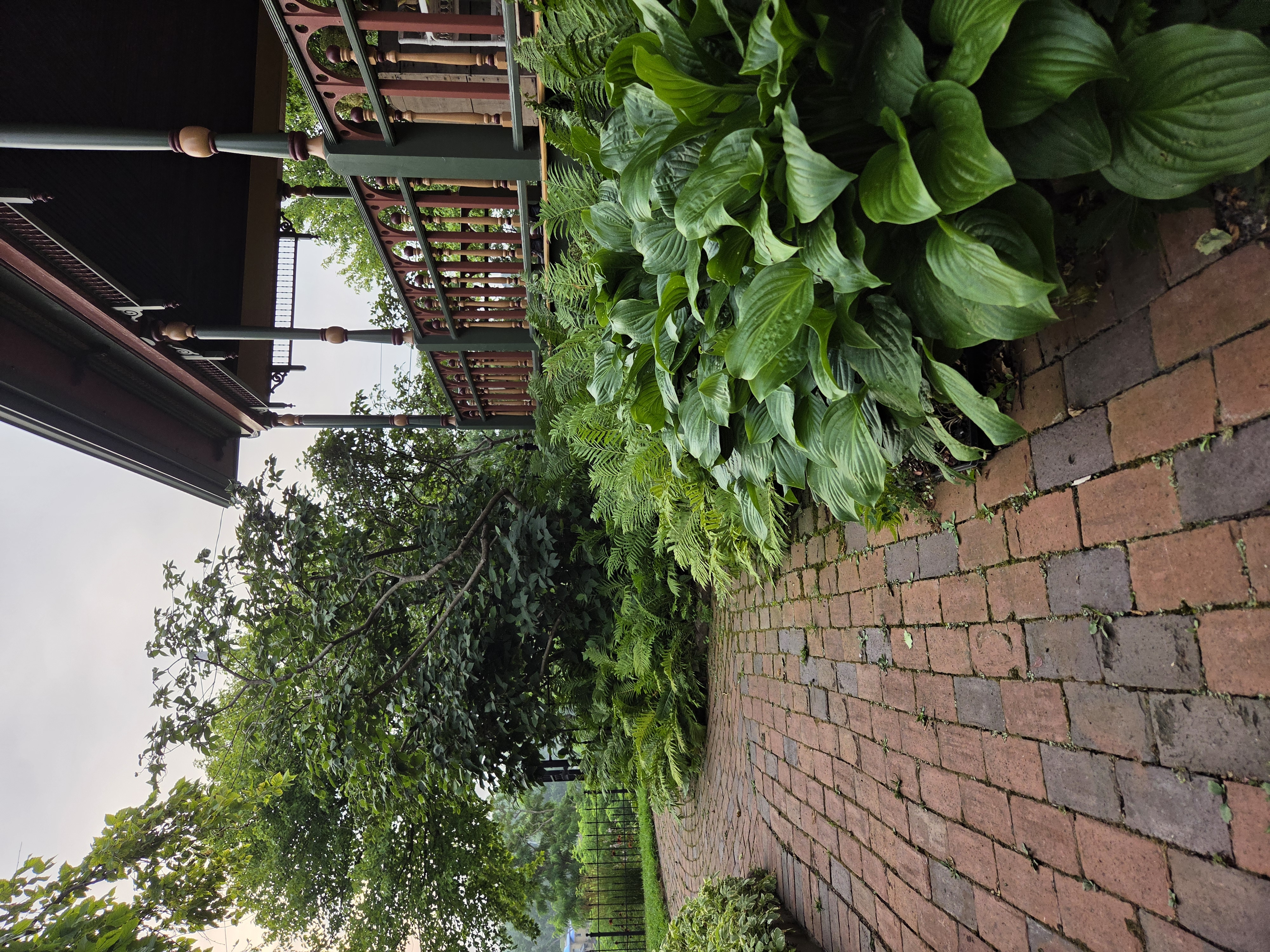 Ferns and hostas lining the brick garden walk