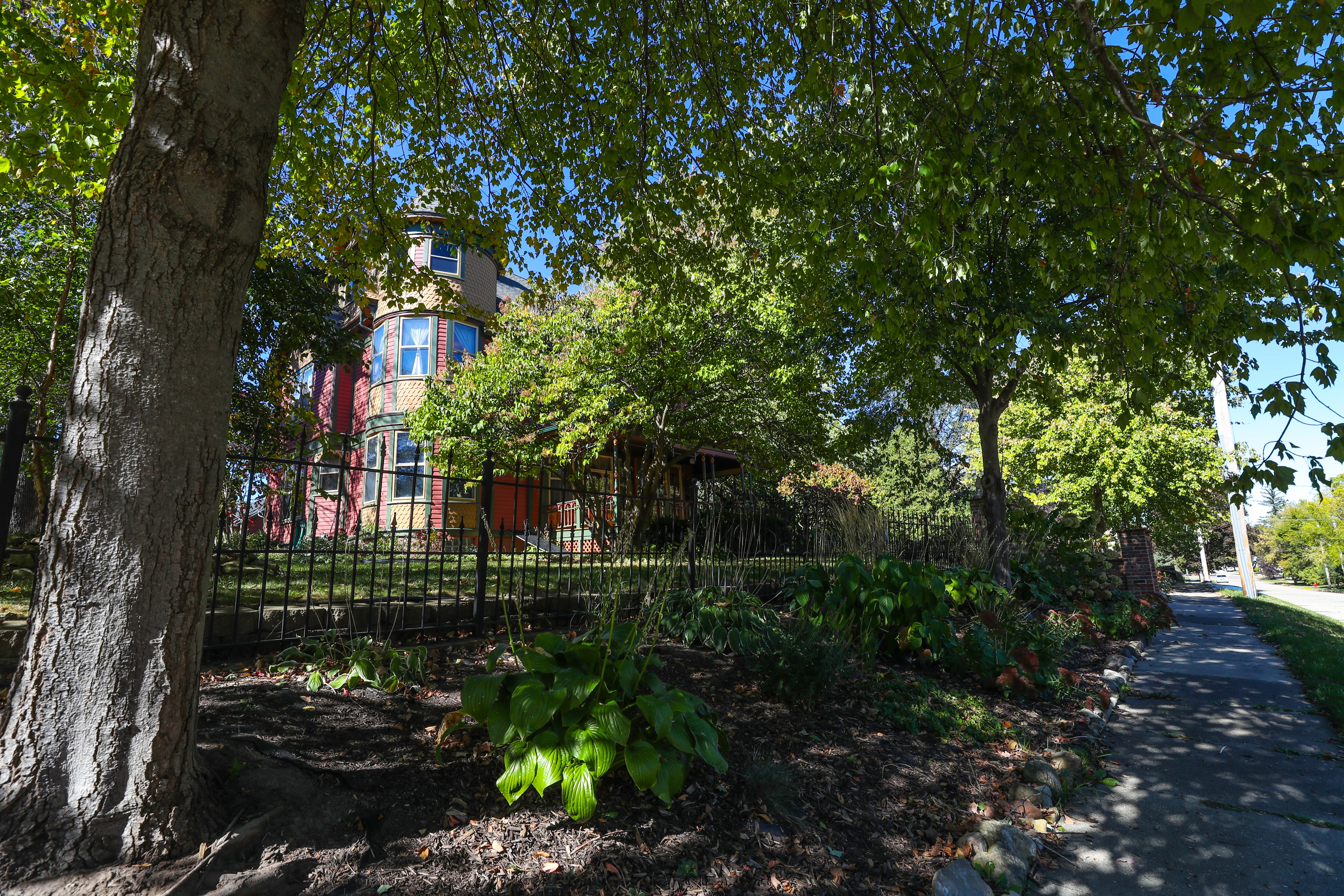 Front Yard