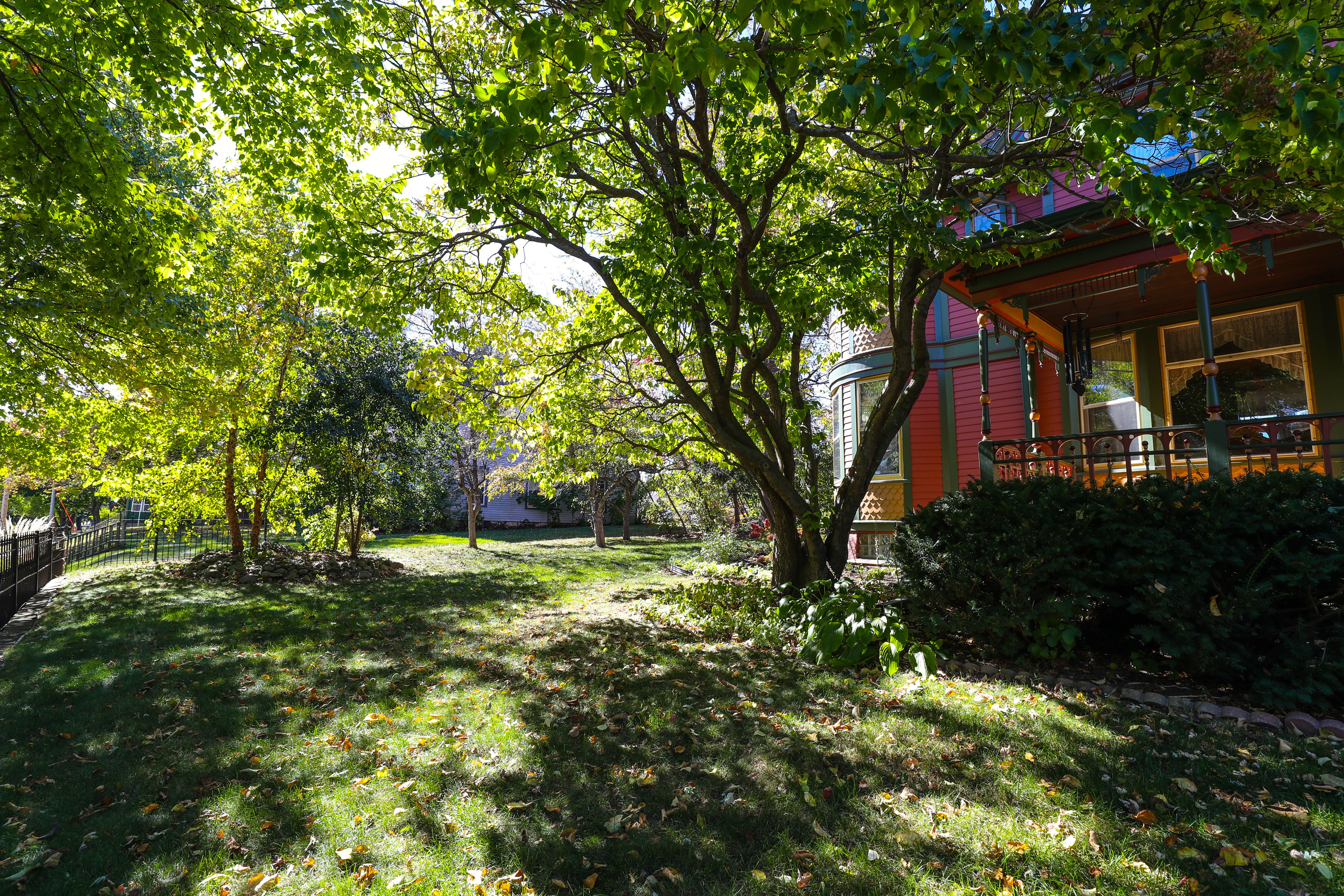 Side Yard
