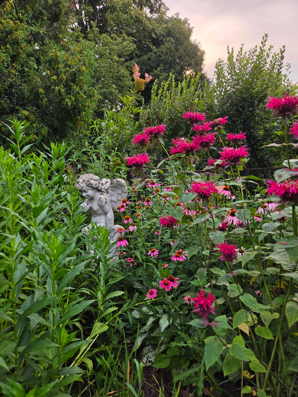 Pollinator bed with bee balm, coneflowers, and a garden cherub