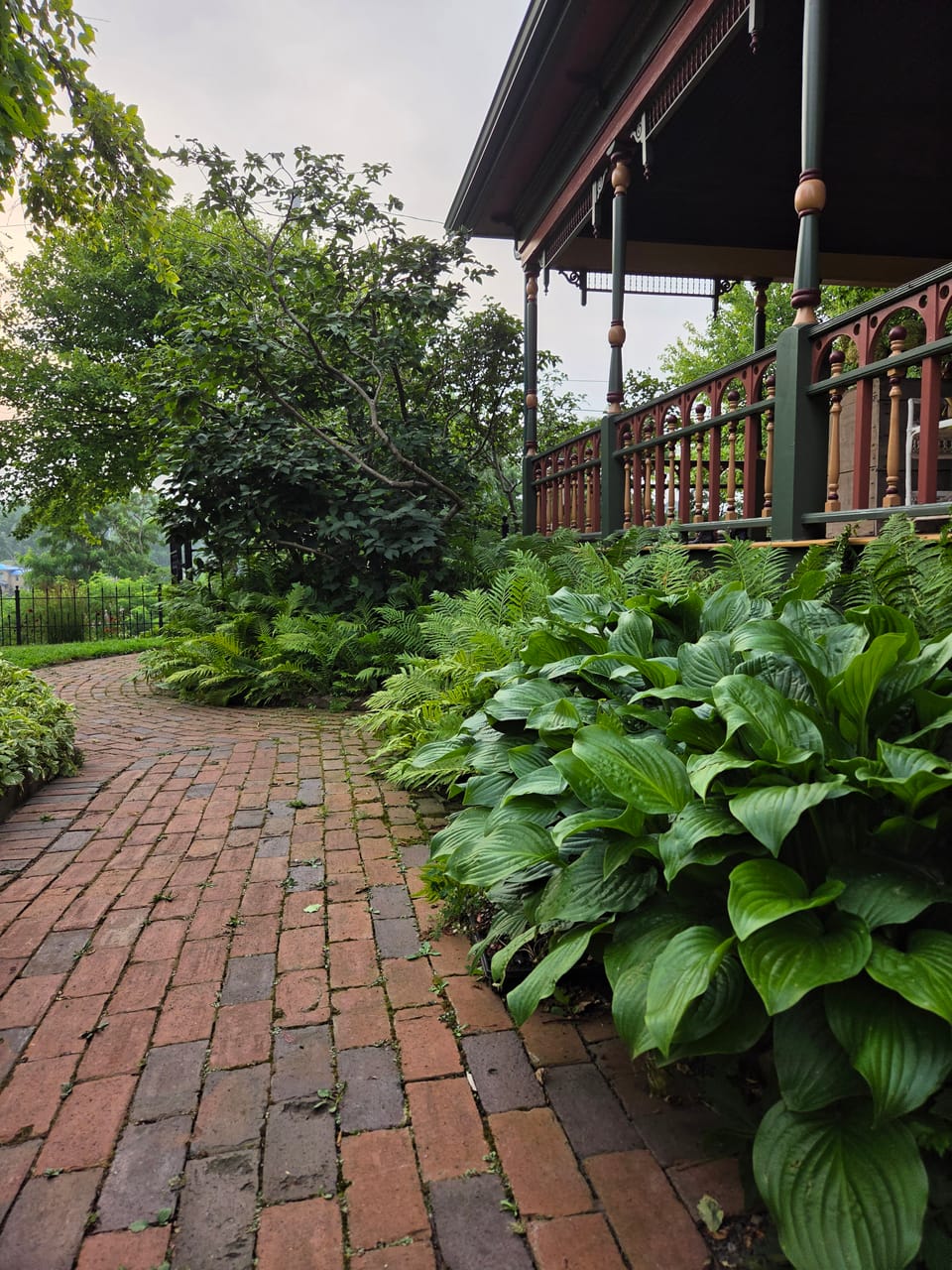 Ferns and hostas lining the brick garden walk